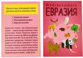 Игра-викторина Мир